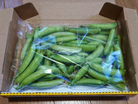 【お試し特価品】実えんどう豆/うすいえんどう豆(アラスカ)