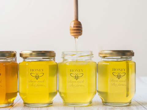 【食べチョク限定】花の香りを食べ比べ！お得な全５種セット　宮崎産非加熱はちみつ（160gｘ5種）