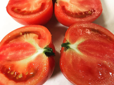 【林修のレッスン！今でしょで紹介！】毎日健康を飲もう！！【無添加】トマトだけを入れたトマトジュース180ml×24本