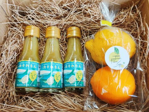 レモンチリソース『カキれもん』ご自宅用３本＋レモン２個セット