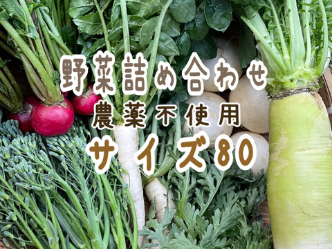 80サイズのたっぷりお野菜