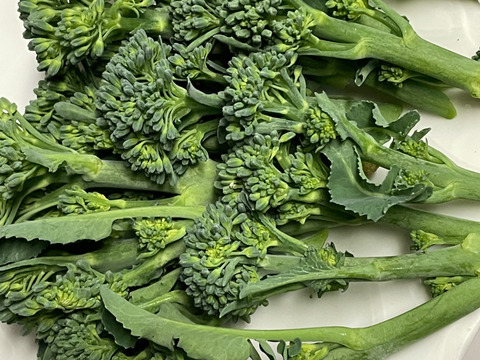 再販の茎ブロッコリーを200gお届け
