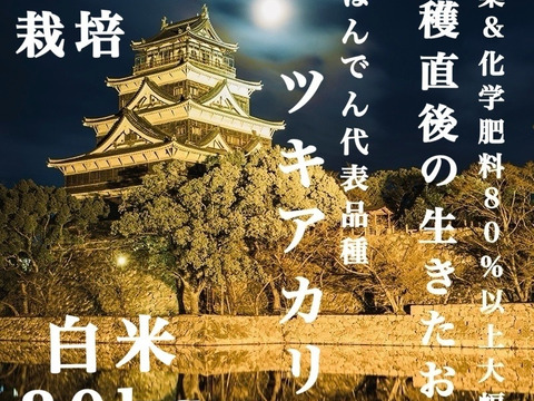 収穫から3日~7日以内の【 生きたお米 】
農薬&化学肥料80%以上大幅減 !!
令和7年度 新米 広島白木町 白米30kg
はんでん 代表品種 特別栽培米 ツキアカリ
