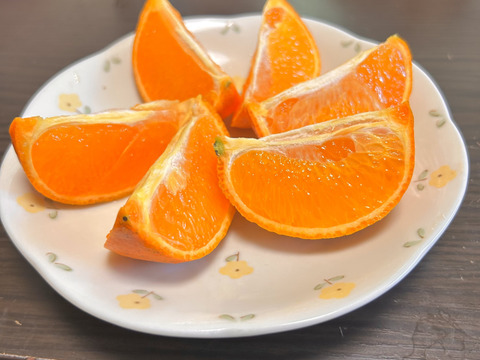 完熟タンカン（贈答用5kg）