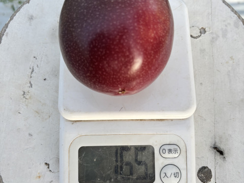 甘い南国の味。パッションフルーツ（6個入り）