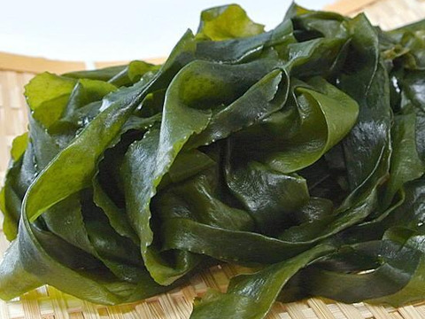 希少な、天草産の美しい干しワカメ ５０ｇ×２パック