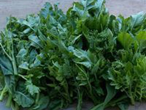 2023年冬【あったか冬野菜】お野菜詰合せセット(５～８品目)