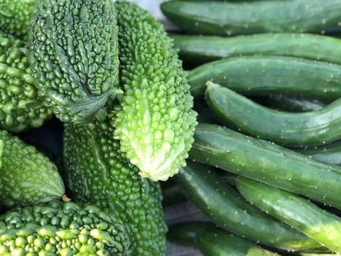 【栄養価が高い】しゅんセット(8〜10品目前後)