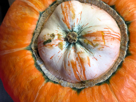 幻の奥会津金山 赤カボチャ『1玉入り』2kg『特選』