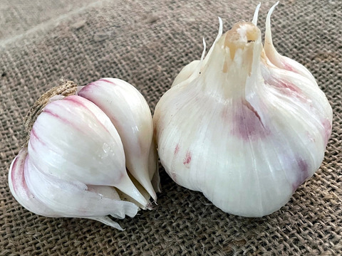 数量・期間限定！なくなり次第終了！幻のにんにく 国産新にんにく2kg 泥付き