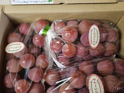 優雅で芳醇な香りが印象的『クインニーナ』1kg〜1.1Kg(２房〜３房)