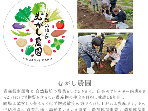 【販売開始！希少！青森県産有機JAS認証大豆3キロ】遺伝子組み換え技術不使用