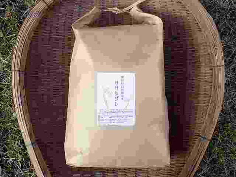 【H29年熟成米】無肥料自然栽培ササシグレ玄米5kg