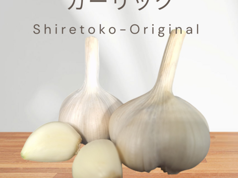 【初めての栽培】令和６年新物 250g～!! 北海道しれとこ産　にんにく