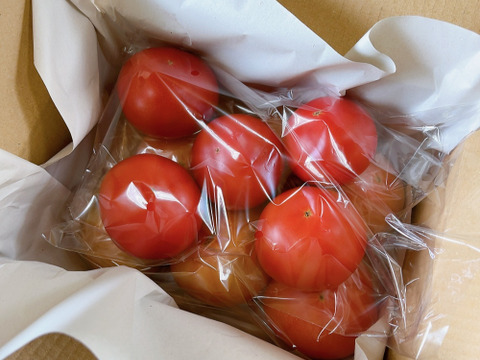 ぜひ一度！！常温便【むらざと自然農園のトマト約2キロ】とってもおいしいです！！