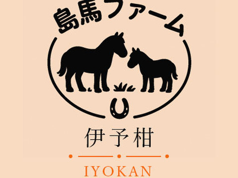 【飲み比べセット】カラマンダリン&伊予柑　果汁100%ストレートジュース 　720ml×4本セット