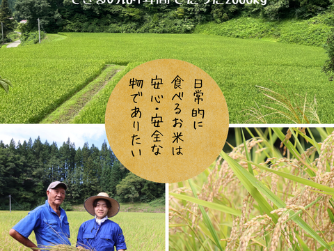 【7年産新米】 残留農薬ゼロの特別栽培米あきたこまち 5kg （玄米）特Aランク 一等米