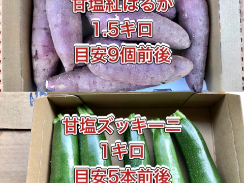 【鹿児島産】甘塩サツマイモ1.5キロ・ズッキーニ1キロ^_^