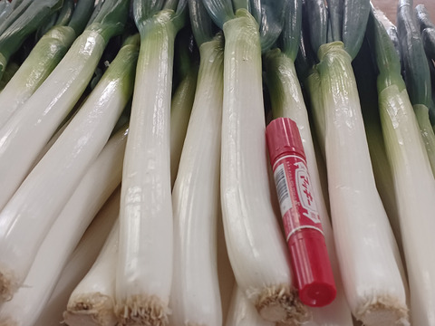数量限定✅皮むき白ネギ✅極太2L/超極太3L混合【4本増量】24本❗❗4,480円→2,680円✅