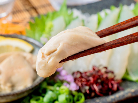 【盛り付けるだけ】ウマヅラハギ刺身／活〆、３Ｄ冷凍