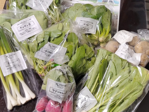 ふたばたけ　畑から直送！　農薬不使用！　旬のこだわり野菜セット　７～１０種類