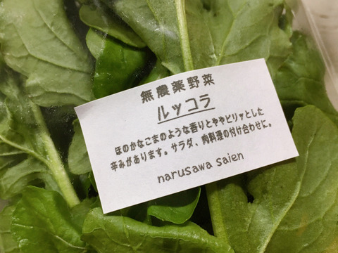 那須産・旬の野菜 Sセット(5-7品目入り)【栽培期間中農薬不使用】