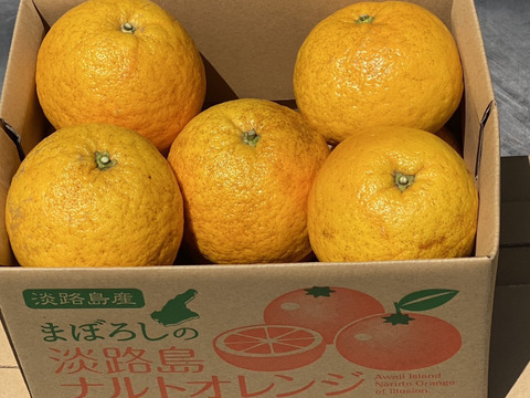 【今が旬】今が旬の幻の柑橘　淡路島なるとオレンジ　3kg数量限定