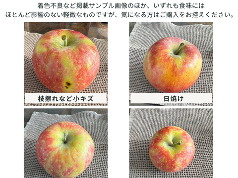 生産農家直送 りんご サンふじ 訳あり 家庭用 10kg 長野県産 信州りんご発祥の地 長沼りんご 化学肥料不使用 除草剤不使用 人にやさしく環境にもやさしい