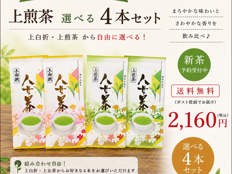【毎回完売】新茶八女茶 組み合わせ自由4本セット｜送料無料