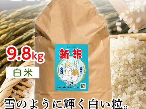【令和6年新米】雪若丸9.8キロ白米　大粒甘みのある新食感！
