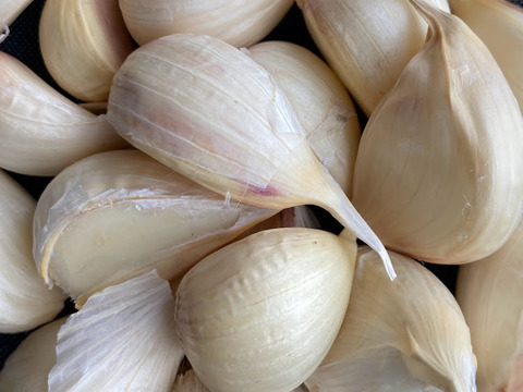 【料理に使いやすい！】乾燥スライスにんにく100g（25g×４）　☆北海道産自家栽培にんにく使用☆