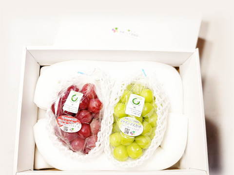 【冬ギフト】厳選クイーンルージュ、シャインマスカット2房（500g×2＝約1kg）※信州の環境にやさしい農産物（長野県認証／農薬節減栽培） ※熨斗対応可