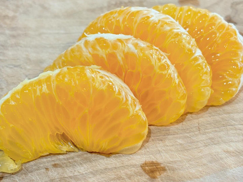 大人向け柑橘🍊サクサク感とbitterな苦味が癖になる【五月八朔】3㎏