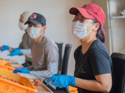 『朝採れ直送』甘さと酸味のバランスが自慢　栃木県産とちあいか