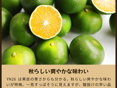 YN26（みかん）家庭用5kg｜和歌山で生まれた温州みかんの有望品種を産地直送でお届け：和歌山県産のみかん・柑橘類｜食べチョク｜産地直送(産直)お取り寄せ通販  - 農家・漁師から旬の食材を直送