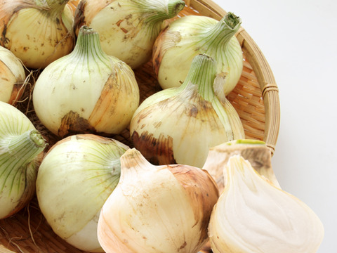 淡路島 新玉ねぎ 甘い 玉葱 10キロ