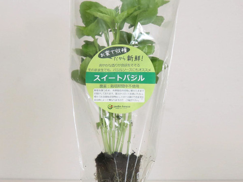 根付き新鮮野菜「サニー＆グリーンレタス×2個+バジル+青じそ」栽培期間農薬不使用(300168)