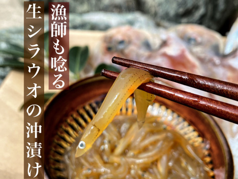 【魚介の福袋】漁師が詰めた手軽に食べられる海鮮いろいろセット
