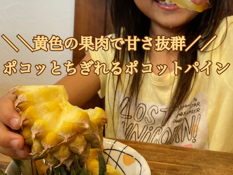 【石垣島直送】手でポコットちぎっても食べらる。濃厚ポコットパイン 3kg（3〜4玉）