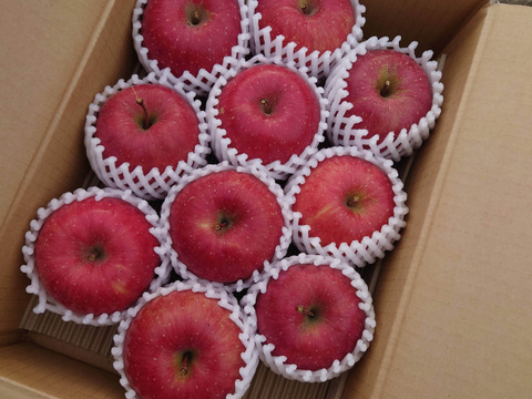 食味重視！「ふじ」3kg　秋田県産