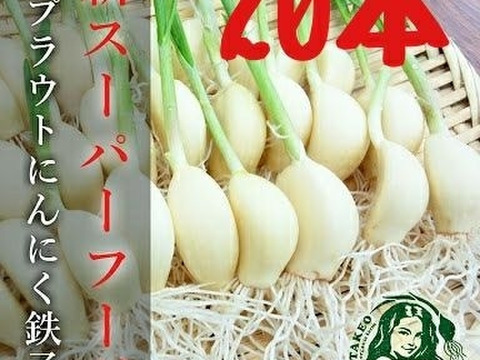 777円!【祝セブンルール出演記念セール】新スーパーフード!20本★スプラウトにんにく鉄子(発芽にんにく)クリックポスト配送 ※説明文お読み下さいませ※