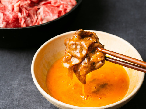 とろ～りコク旨！静岡の自然の恵みがギュッと詰まった新鮮たまご『富士の名月』【10個入×2PC】