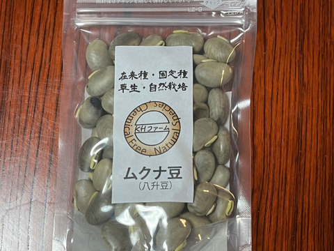 ムクナ豆　自然栽培