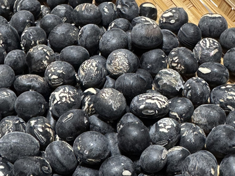 🎍新豆 丹波黒豆 訳あり品 500g きな粉等の加工品用に是非