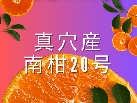 【オープン記念セール！】真穴産 温州みかん 南柑20号 サイズ混合 S～2Lサイズ ５kg  数量限定（サイズ指定不可）
まあな