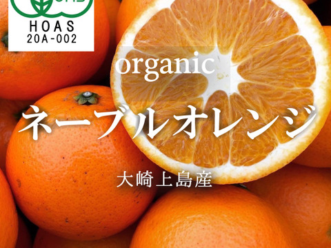 有機jas認証 オーガニックネーブルオレンジ 2kg 甘さと爽やかな酸味のハーモニー 旬のオーガニックをご自宅で 広島県産 食べチョク 農家 漁師の産直ネット通販 旬の食材を生産者直送 有機jas認証 オーガニックネーブルオレンジ 2kg 甘さと爽やかな酸味のハーモニー 旬のオーガニックをご自宅で 広島県産 食べチョク 農家 漁師の産直ネット通販 旬の食材を生産者直送