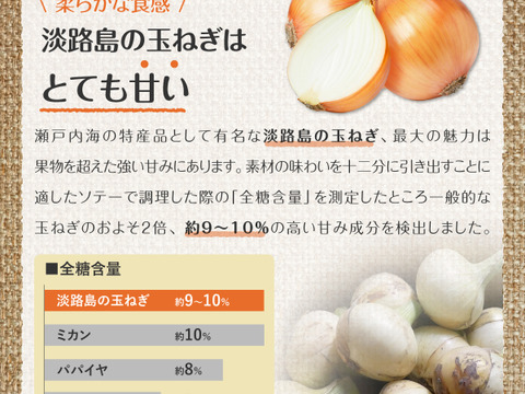 淡路島 玉ねぎ 甘い 玉葱 10キロ