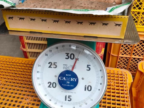 粘り抜群！鳥取県産 ねばりっこ 1kg  （宅急便コンパクト）