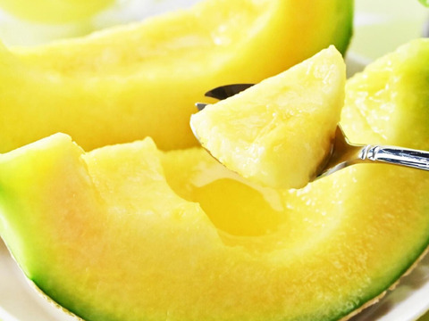 「外まで甘い」2玉で2.8kg高糖度マスクメロン