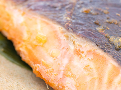 【福袋】圓子水産お試し福袋｜あれこれ楽しめる・少人数向け・１〜２人前